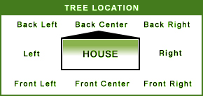 Tree Positions